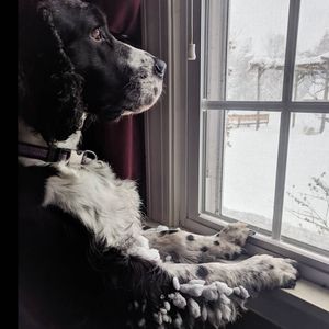 Meet your Posher, Sharon